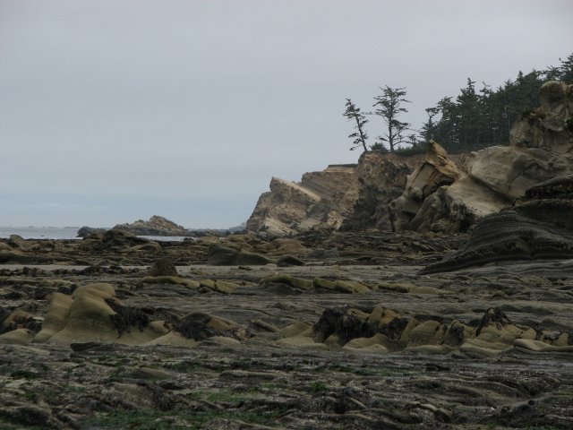 View north